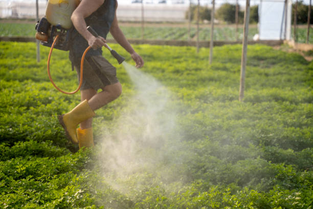 Best Best Pest Control Companies  in Moncks Corner, SC