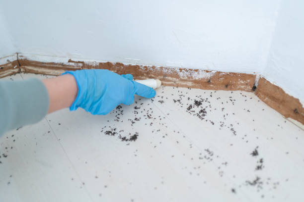 Best Best Pest Control Companies  in Moncks Corner, SC